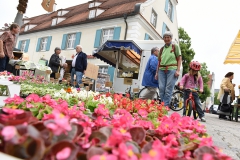 Aulendorf – auf dem Markt